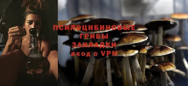 СК Верхний Тагил