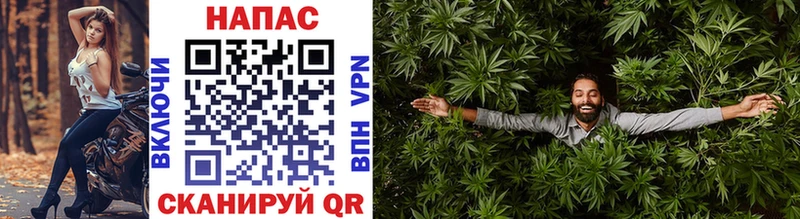 мориарти Telegram  Павлово  Марихуана Ganja 